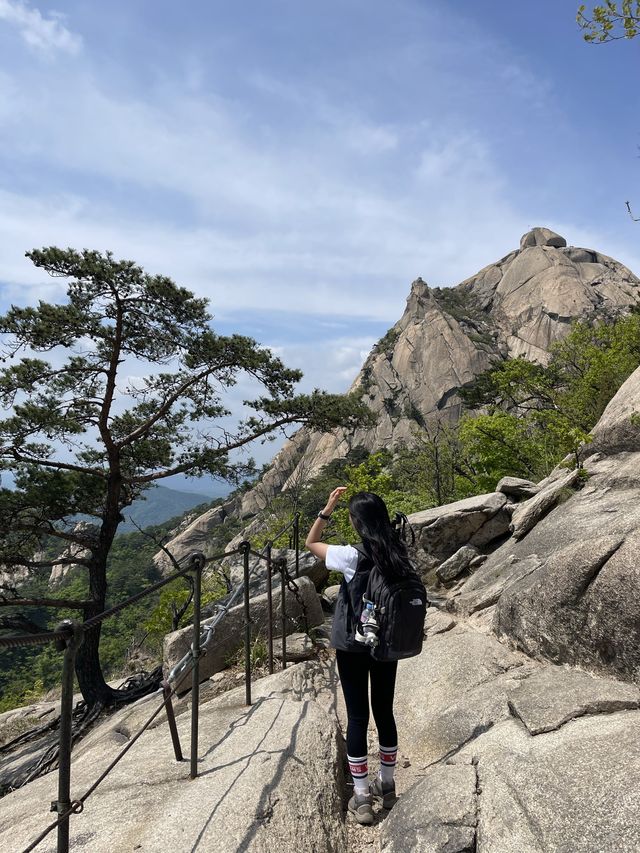 [서울]서울에서 가장 높은 곳에서 피크닉하기❣️