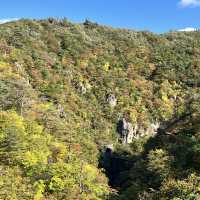 【宮城】色づきはじめた紅葉が美しいスポット