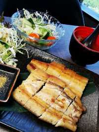 集錦日本串燒定食