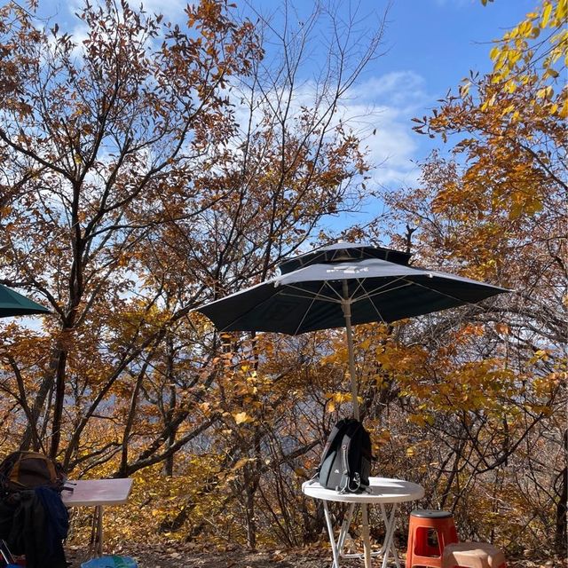 민둥산에서 가을 막차타기