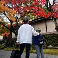 紅葉の名所【二尊院】✨