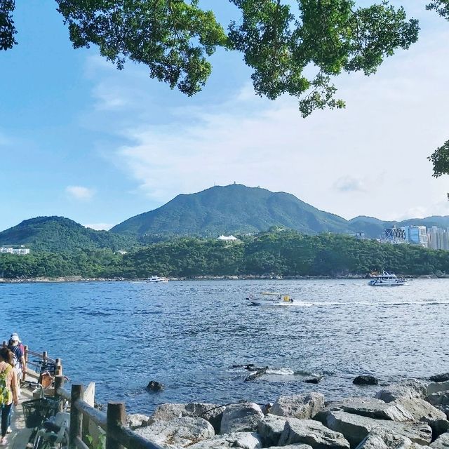 鯉魚門🌞
