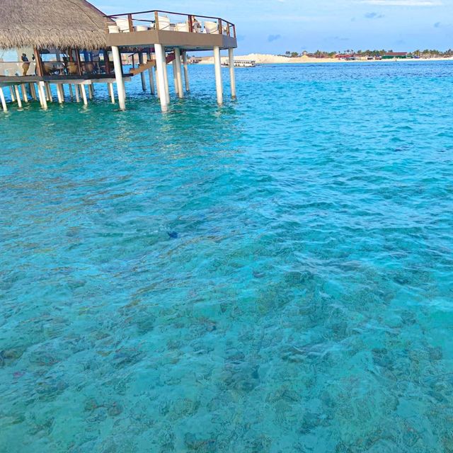 Luxurious Maldives Island Resort 