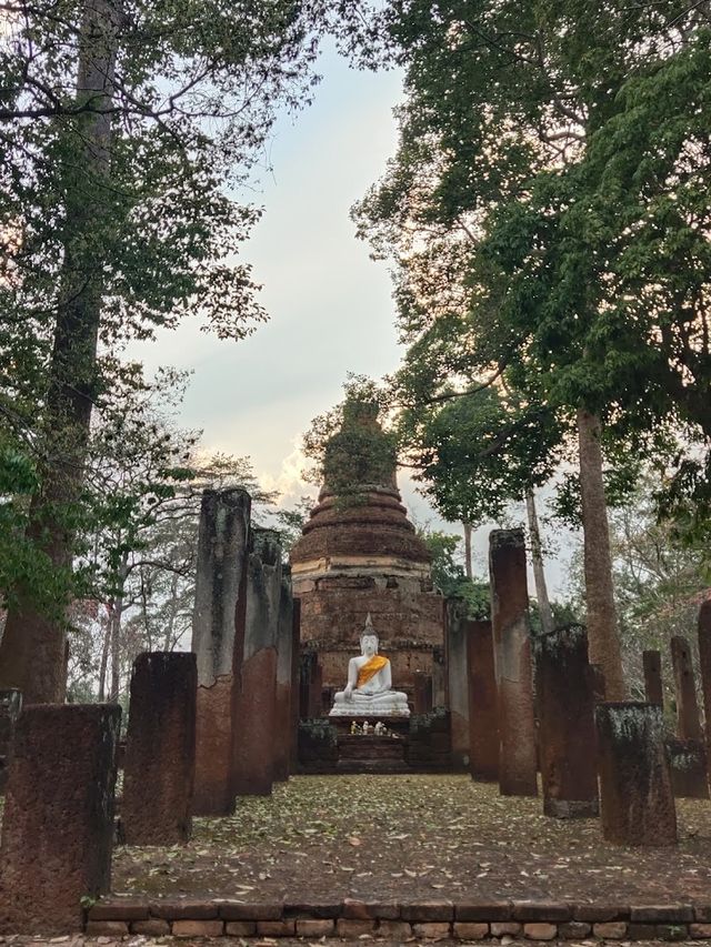 วัดนาควัชรโสภณ (วัดช้าง)