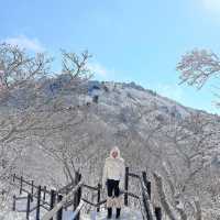곤도라타고 쉽게 만나볼 수 있는 겨울왕국❄️