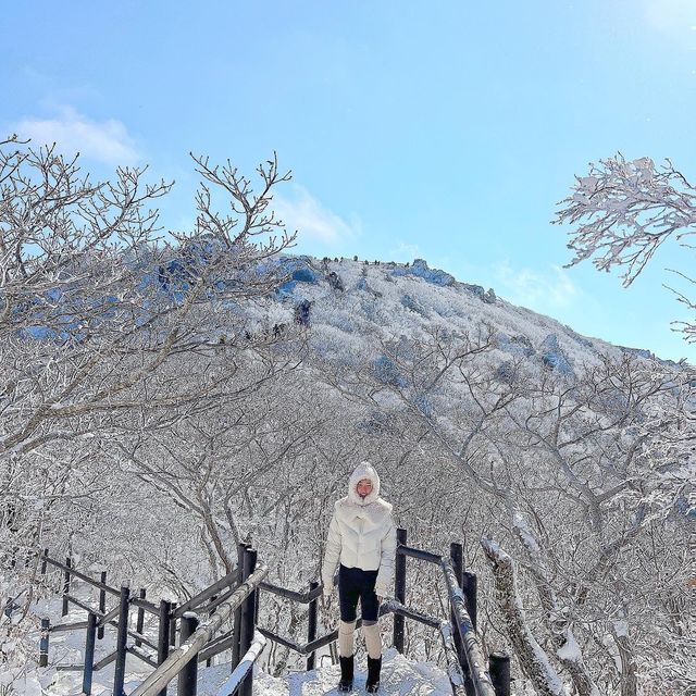 곤도라타고 쉽게 만나볼 수 있는 겨울왕국❄️
