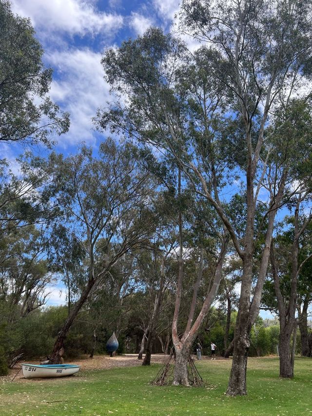 Trees and Twigs @ Yanchep National Park! 🫣🤩