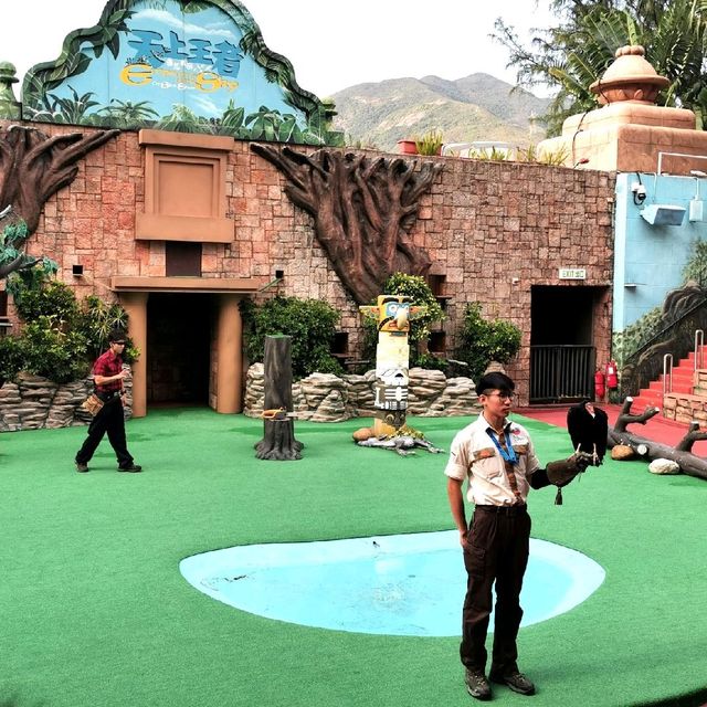 海洋公園動物show
