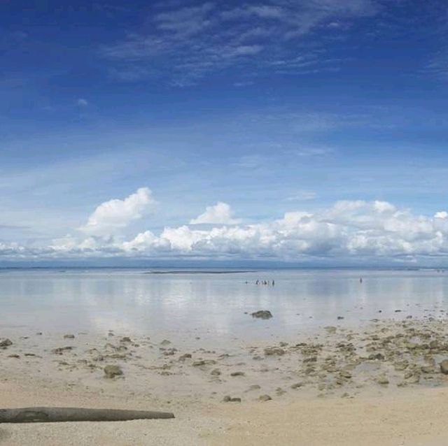 pulau tikus