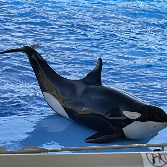 名古屋港水族館