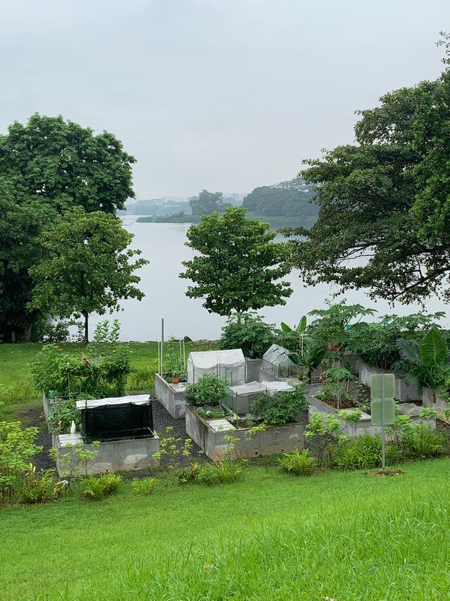 Lower Seletar Reservoir