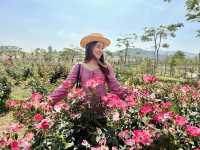 One day trip : วังน้ำเขียว