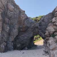 【沖縄・渡嘉敷島】ケラマブルーの海✨