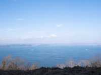 【香川】猫とアートの島「男木島」