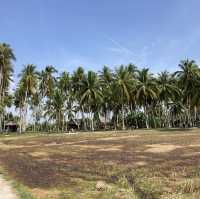 Countryside Lifestyle at Kg Agong