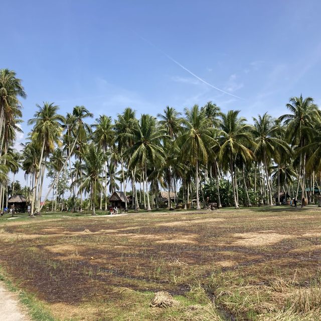 Countryside Lifestyle at Kg Agong