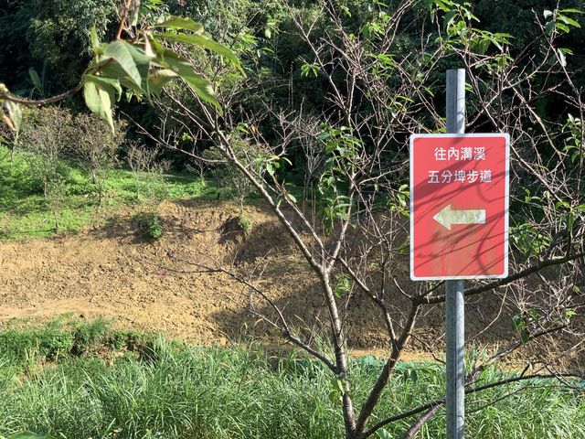 內湖晨跑去～沿著東湖樂活公園、內溝溪、白馬山莊回返