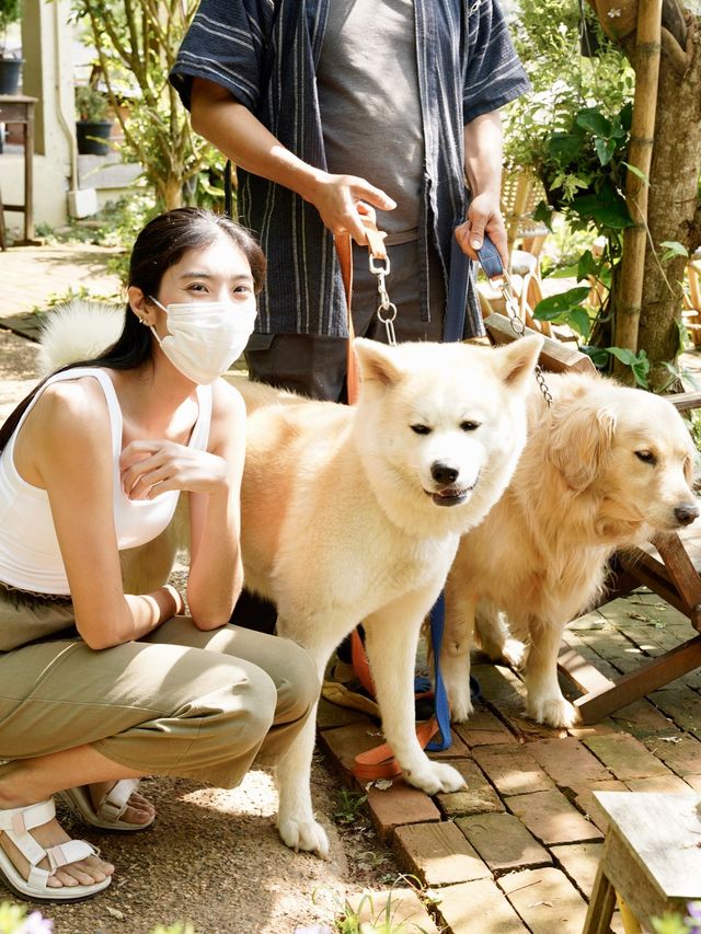 🍃🐶Mori Natural Farm ที่พัก&คาเฟ่บนภูเขาเชียงใหม่