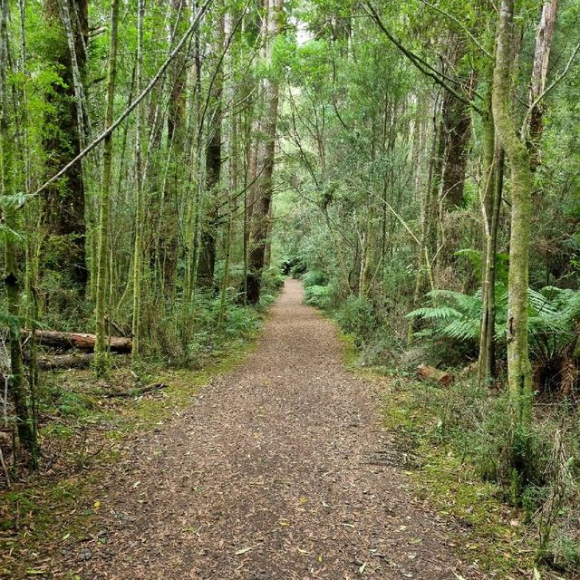 Beauchamp Falls & Hopetoun Falls