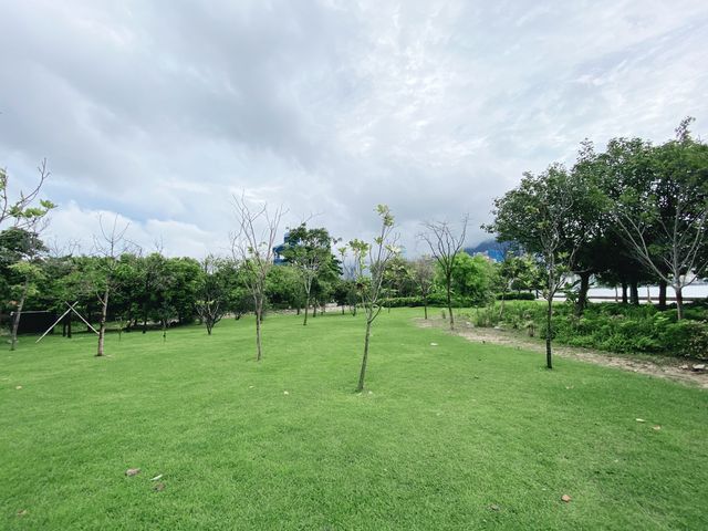 藝術公園賞花好去處