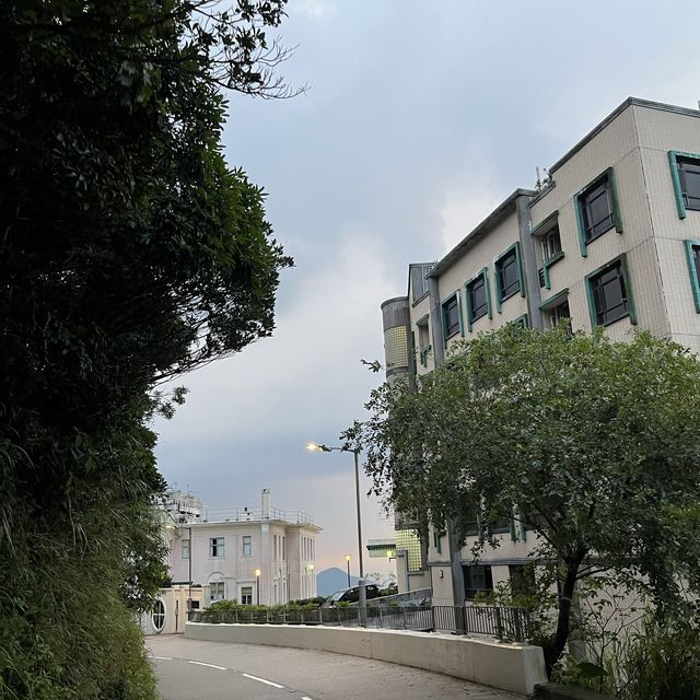 山頂 加列山道 緩跑徑 山頂 加列山道 緩跑徑
