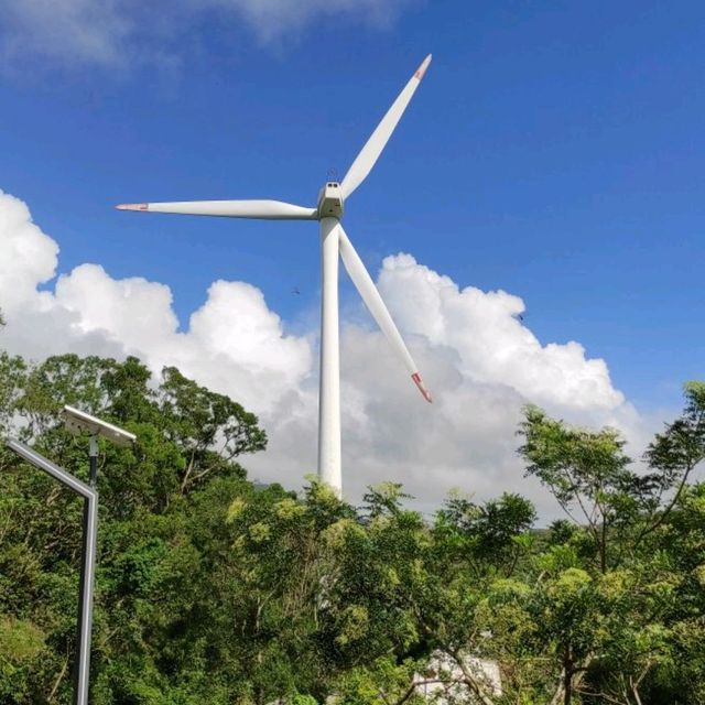 Hailing Island Windmills trip