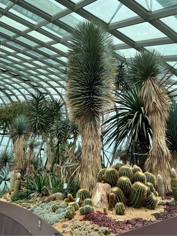 Admiring Nature’s Beauty inside Flower Dome