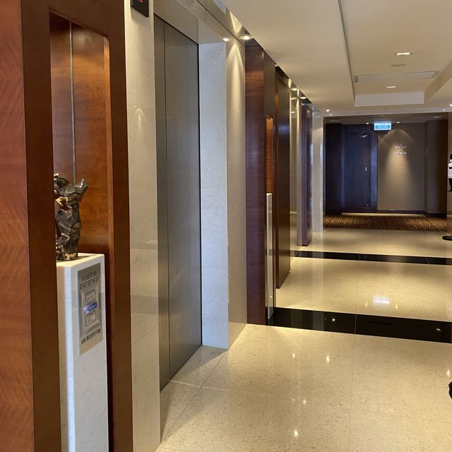 藝術與高尚風格融合的酒店 - 尖沙咀凱悅酒店