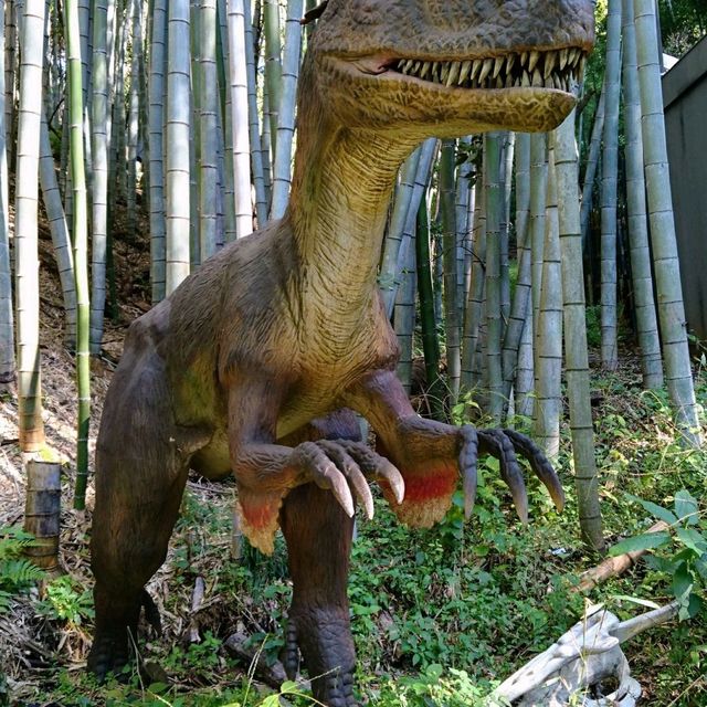 恐竜🦖と遊園地🎠🎡🎢