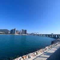 熙來攘往的跨灣大橋