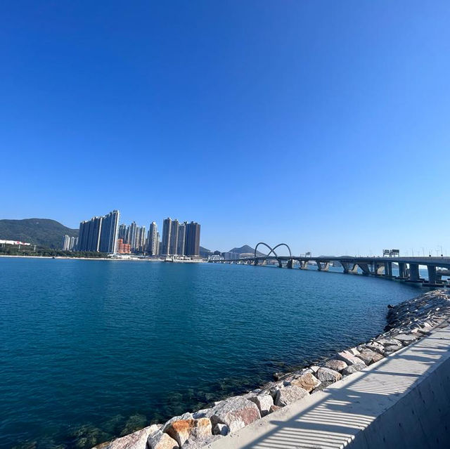 熙來攘往的跨灣大橋