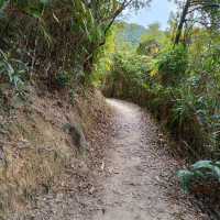 香港仔郊野公園~行山 / BBQ 好去處！