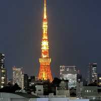 cheap air ticket 