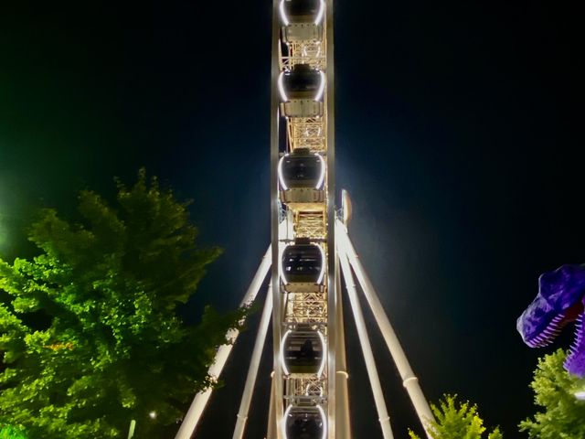 The Skywheel at the Niagara Falls 🇨🇦