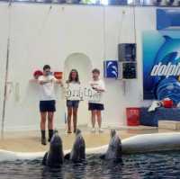 Varna Dolphinarium