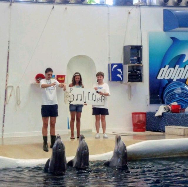 Varna Dolphinarium