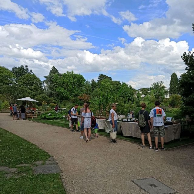 The majestic botanical garden of Bonn 