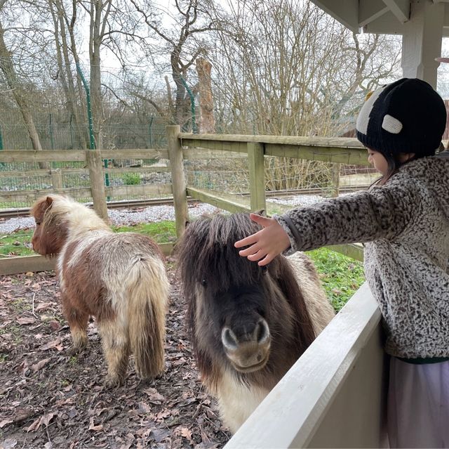 這麼大·那麼凍的Beale Wildlife Park