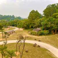 My Tips for visiting Chimelong Safari Park