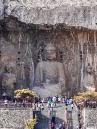 An Afternoon at Longmen Grottoes