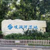 打卡深圳觀瀾濕地公園