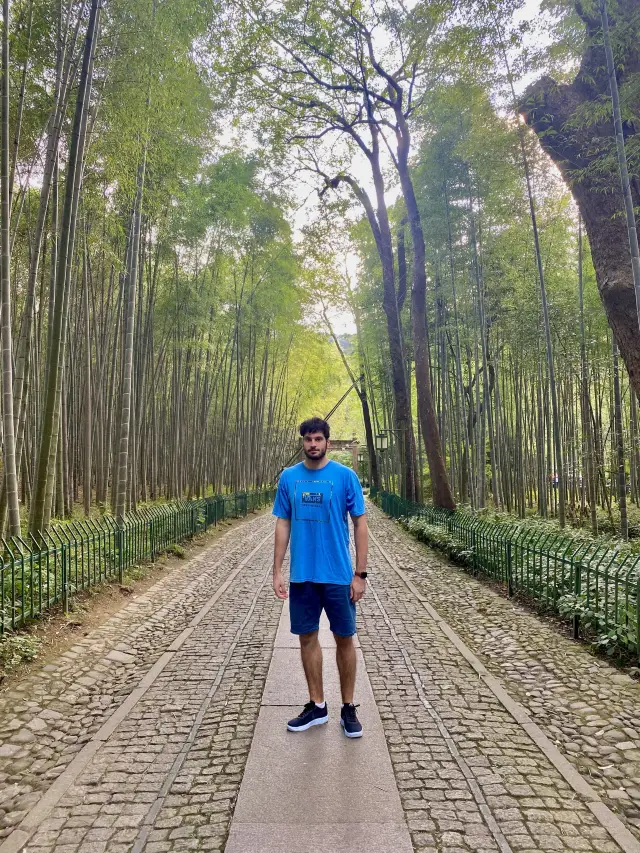 Pleasant stroll in the bamboo forest🎋