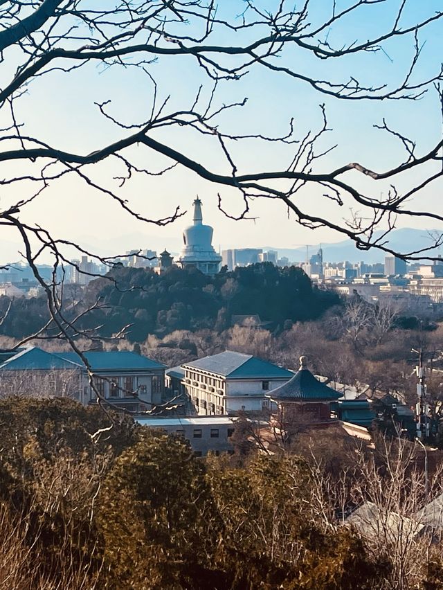 Beijing from above (Jingshan Park)