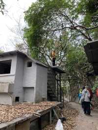 鶴嘴石澳廢墟遊