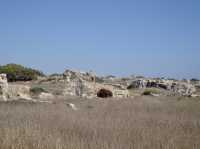 The Tombs of the Kings 