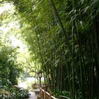 广州兰圃公园一日游