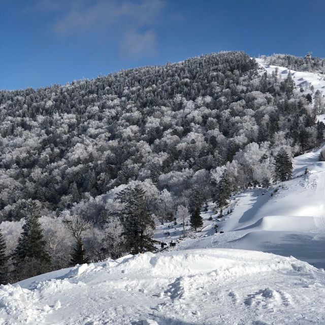 Ski at Beidahu