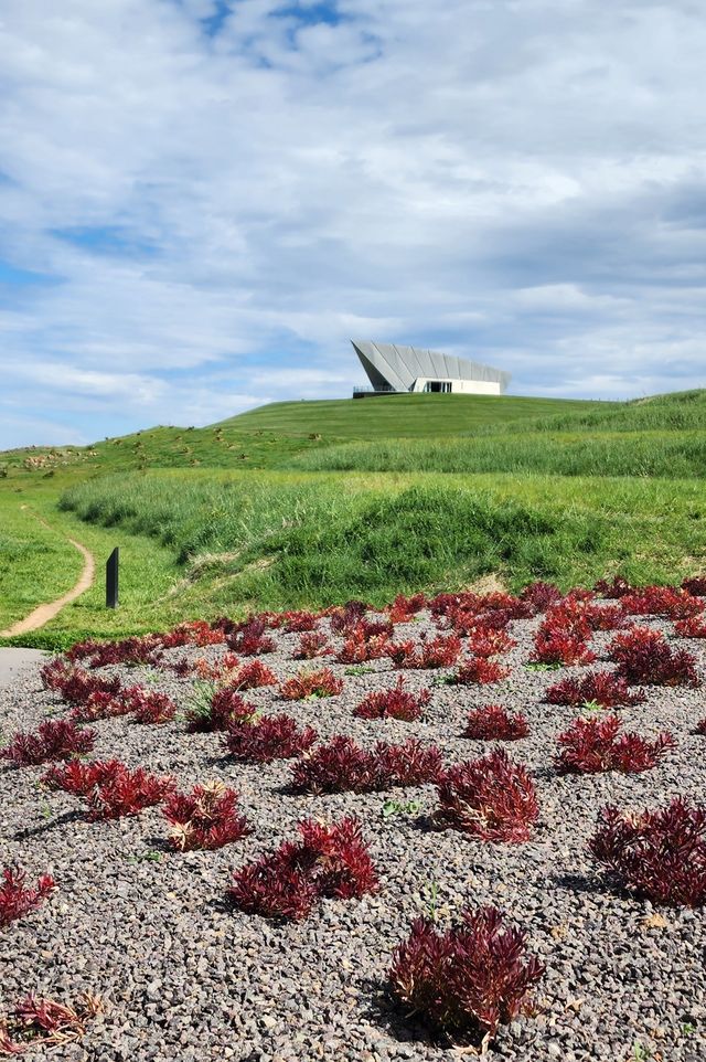 Enjoy the flowers at Canberra Arboretum.