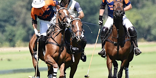 The County Cup Final 2024 | Cirencester Park Polo Club