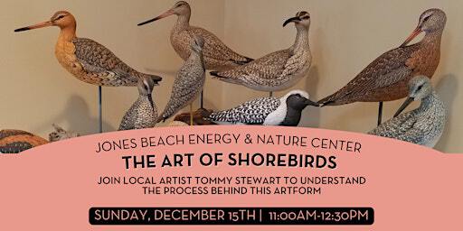 The Art of Shorebirds with Tommy Stewart(Adults & Teens, Ages 12+) | Jones Beach Energy & Nature Center